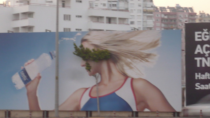 P1100449 (700x393, 53Kb)