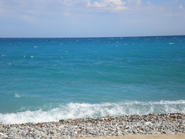   (600x450, 72Kb)