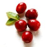 cranberries11 (150x150, 3Kb)