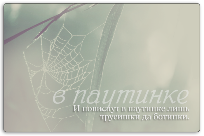 3770037_epigraf_1 (700x466, 301Kb)