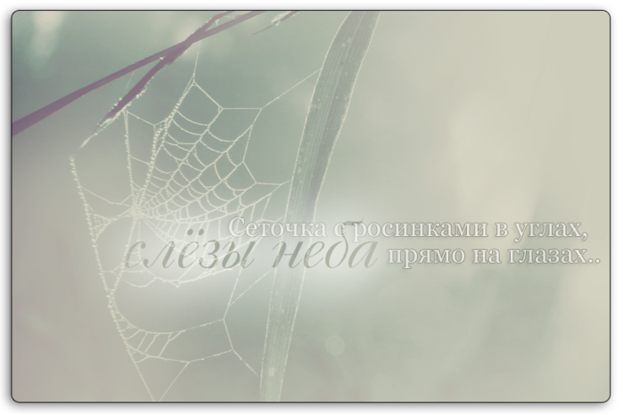 3770037_2_1_ (700x466, 293Kb)