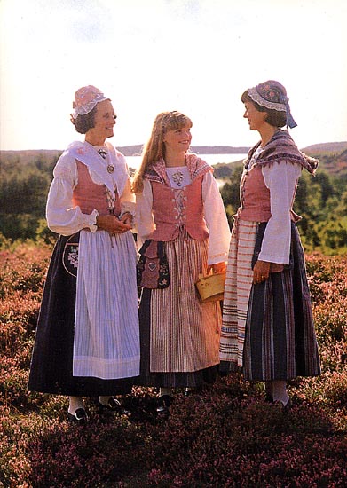 Шведский народный костюм