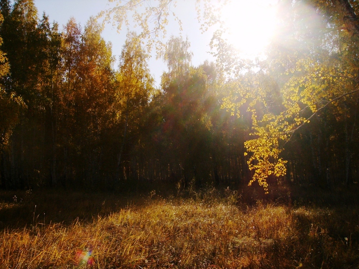 PICT0087 (700x525, 254Kb)