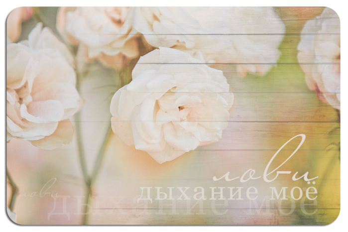 3770037_1 (700x466, 409Kb)