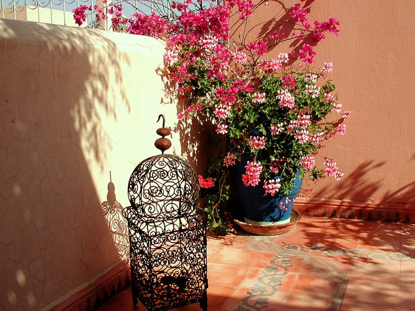 morocco-courtyards-and-patio1-1 (600x450, 148Kb)