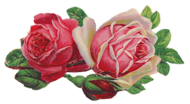 victorianroses4.gif (269x147, 68Kb)