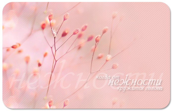 3770037_Eigraf (700x449, 438Kb)