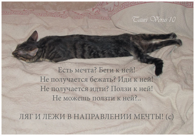 _1_~1 (640x447, 65Kb)