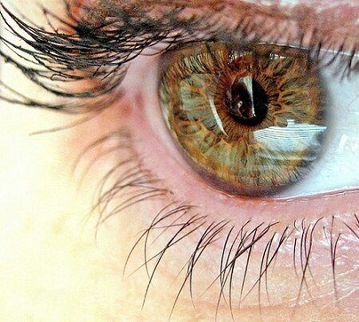vision (405x364, 73Kb)