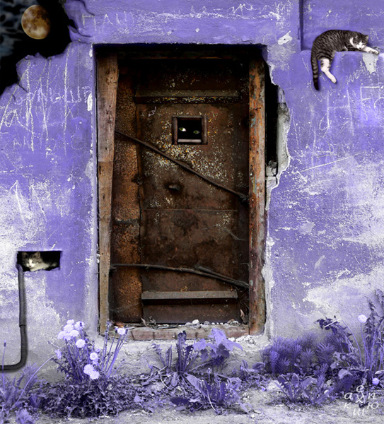 Читать тайная дверь. Загадочная дверь. Мистическая дверь. Тайная дверь. Волшебная дверь.