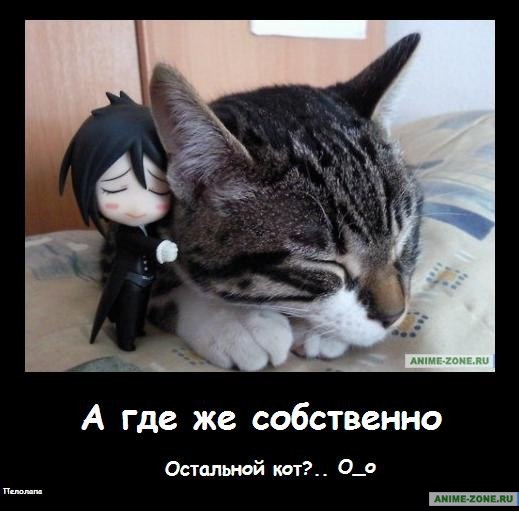 33484 (519x511, 46Kb)