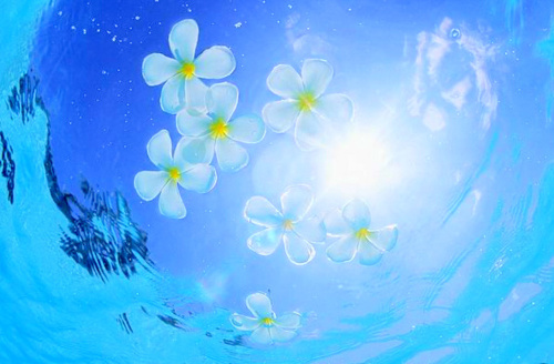 4058624_76352067_large_tumblr_lixxgouZBi1qdvmwxo1_500 (500x328, 73Kb)
