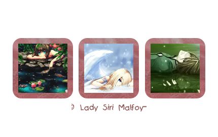 Preview_of2 (430x270, 77Kb)
