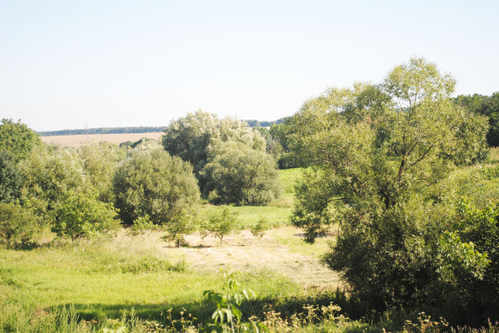 DSC_0931 (700x468, 160Kb)