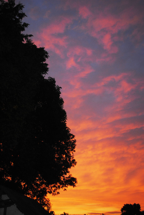 DSC_0812 (468x700, 86Kb)