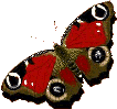 butterflies_45 (106x99, 25Kb)
