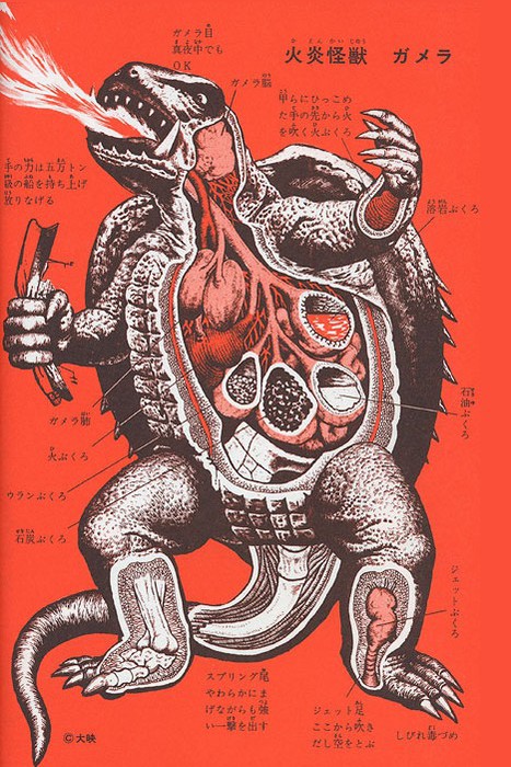 anatomy-gamera (467x700, 138Kb)