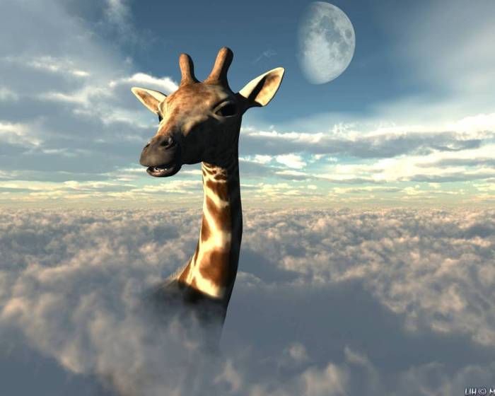 giraffe-n (700x560, 34Kb)