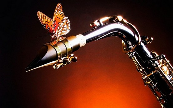 65147866_54605433_48353641_1252085396_Sax_and_Butterfly[1] (555x347, 43Kb)