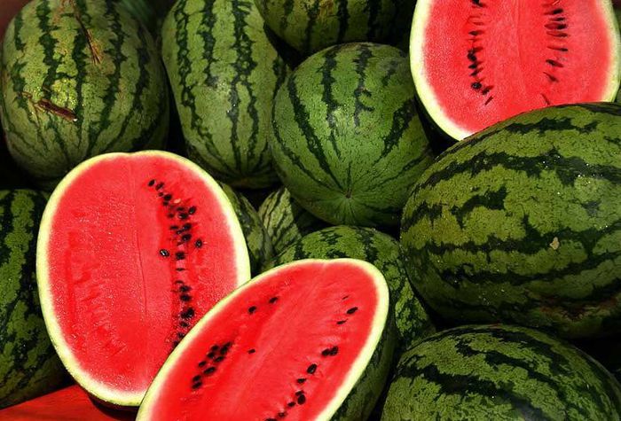 1291728007_1278668301_watermelons-857 (700x475, 80Kb)