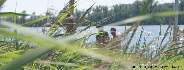 a_ab073c90a (604x232, 108Kb)