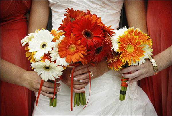 white_flowers_271_11_m (600x404, 84Kb)