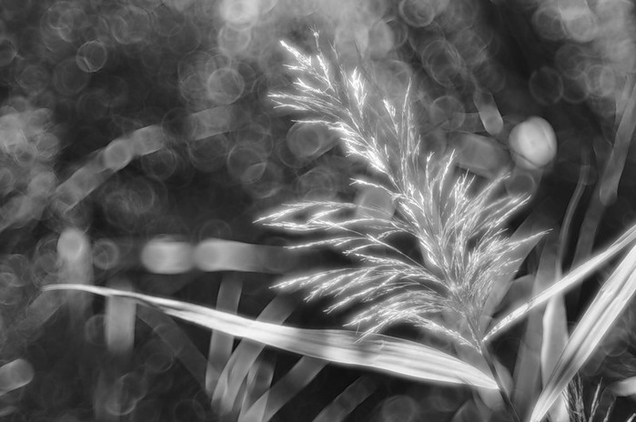 MC2008 (700x464, 70Kb)