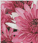   Artecy CS Pink Chrysanthemums.jpg   (623x700, 408Kb)