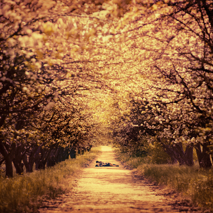 4097126_unbelievable__by_oprisco (700x700, 731Kb)