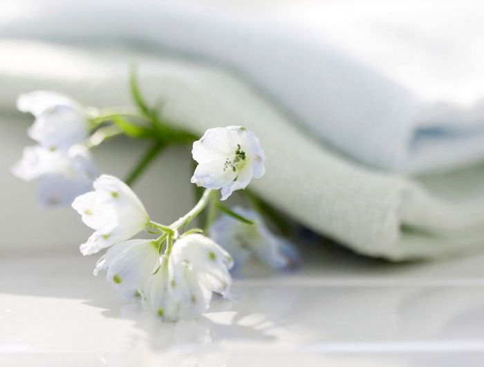 белые цветы полотенце загрузить
