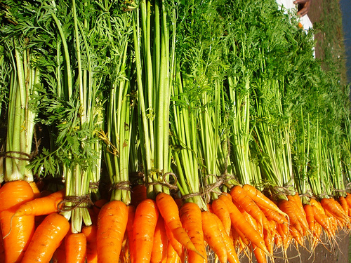 морковь (500x375, 226Kb)