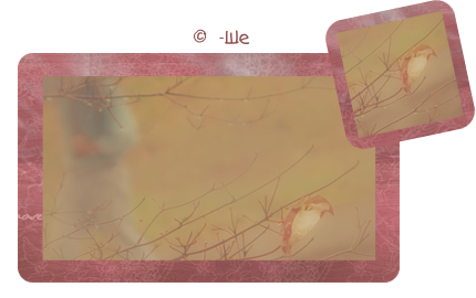 Preview_of  (430x270, 116Kb)