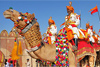 india-camel-sm2 (100x67, 9Kb)