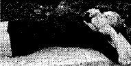 11775_60533273 (191x96, 6Kb)