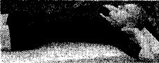 11775_60533276 (229x92, 8Kb)