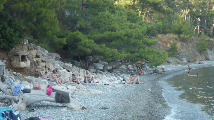 P1100526 (700x393, 134Kb)