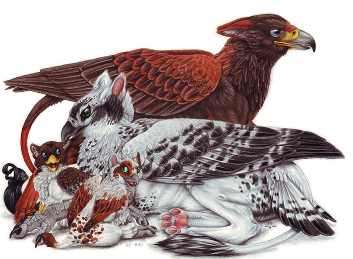 A_Gryphon_Family_Portrait_by_bloodhound_omega (700x514, 143Kb)