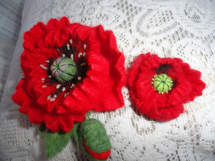 DSC01017 (700x525, 494Kb)