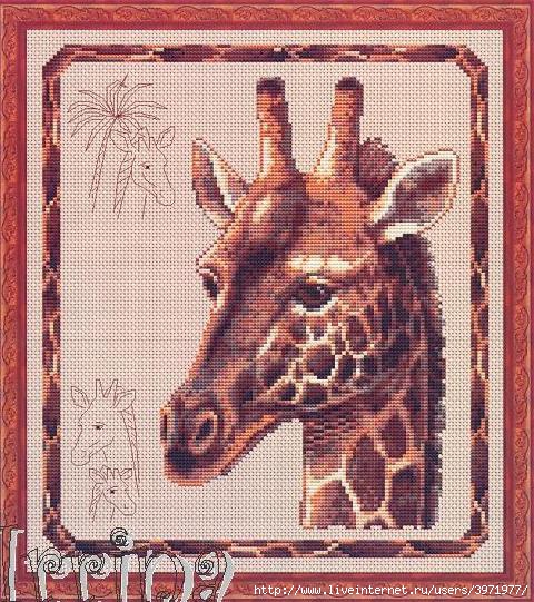 3971977_GirafPANNAfoto (480x541, 244Kb)