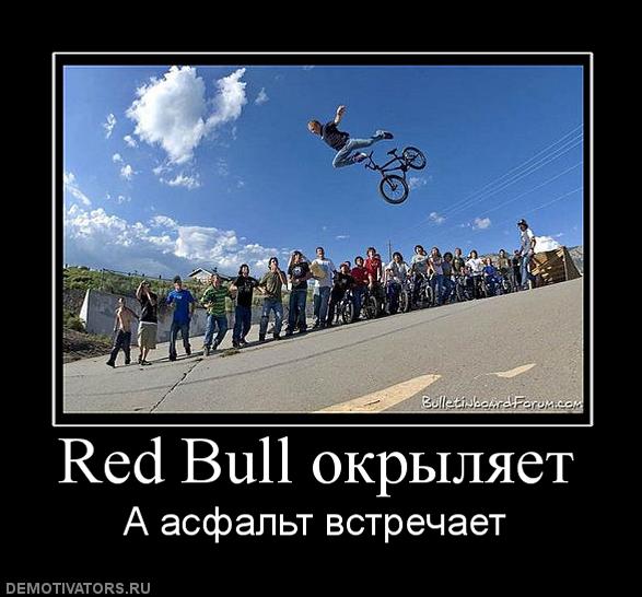 3365150_261766_redbullokryilyaet (587x546, 51Kb)