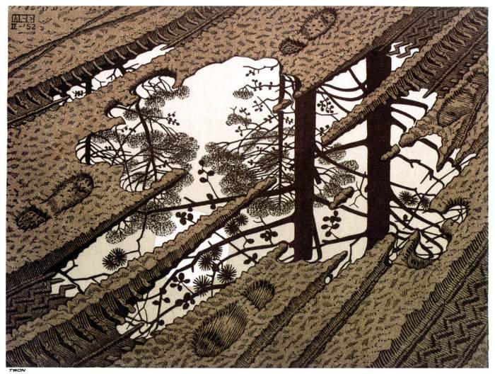 Maurits Escher - Puddle (700x528, 98Kb)