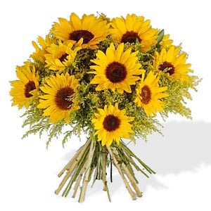 SunflowerBig (300x300, 21Kb)