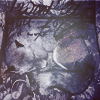 10 (100x100, 27Kb)