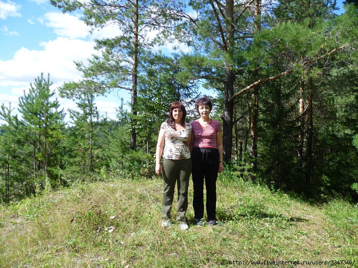 P1070999 (700x525, 440Kb)