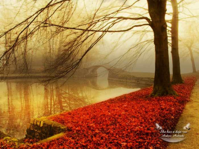 Autumn-wallpaper-autumn-9444951-1024-768 (700x525, 614Kb)