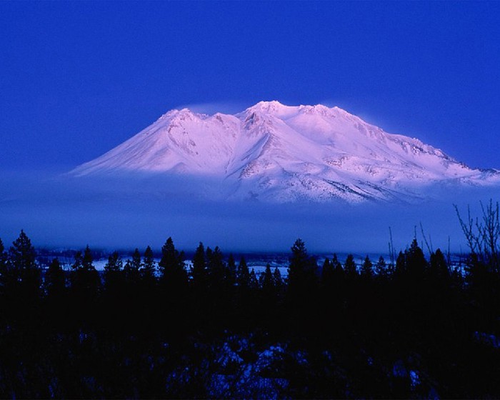 shasta (700x560, 64Kb)