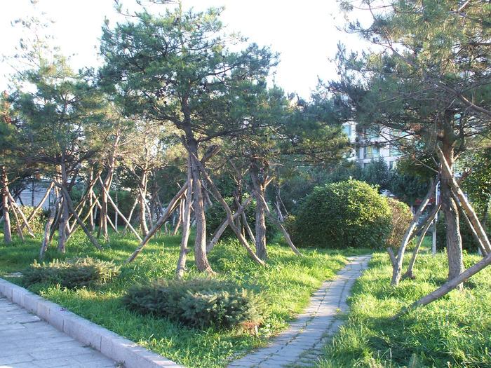 DSCF1583 (700x525, 249Kb)