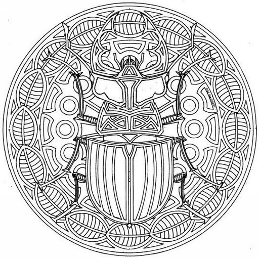 mandala-insecte_jpg (512x510, 103Kb)