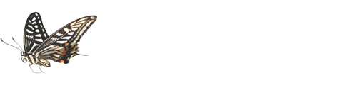 0_69463_d6e10548_L.jpg (500x120, 31Kb)