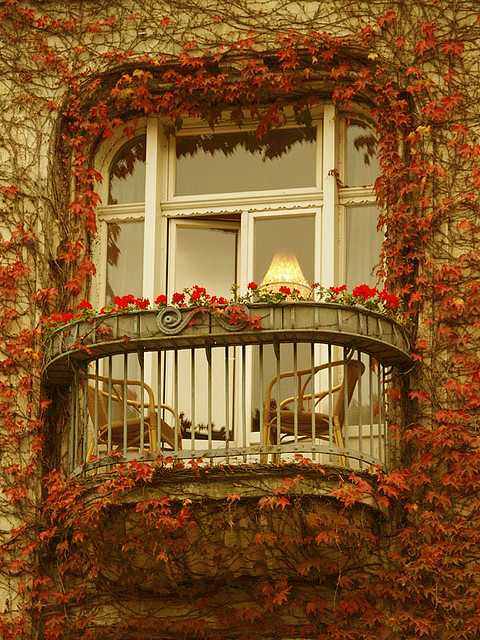 fotometki_image_11cf82ae (480x640, 196Kb)